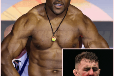 🌈 Francis Ngannou backs Tom Aspinall as UFC 321 eye poke controversy rolls on