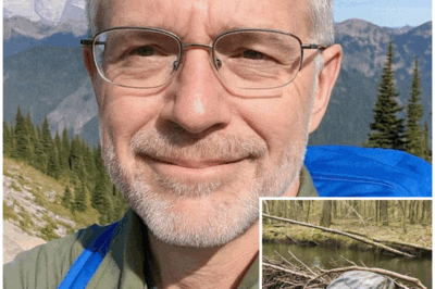Retired Doctor Vanished from Mount Rainier, 4 Years Later They Find This in a Beaver Dam… – HTT