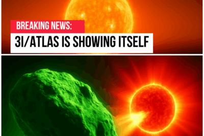 😱 When 3I/Atlas Went Super-Bright, the Sun Was Clearly Showing Off – And We’re Just Watching! 😱 – HTT