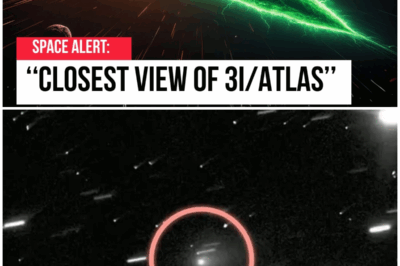 😱 3I/ATLAS: A Comet’s Journey or a Scientific Mystery? The Truth Behind the Blackout! 😱 – HTT