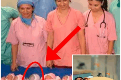 Mother Gives Birth to 10 Babies and Doctors Realize One of Them Isn’t a Baby! Biggest Shock! – HTT