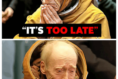 “🚨THE YEAR 2345 WARNING: TIME TRAVELER BREAKS SILENCE AND APOLOGIZES TO HUMANITY BEFORE THE EVENT💀” The mysterious figure says he didn’t come to save us—but to confess. “We made it too far,” he whispers. In his account, the world didn’t end in fire—it ended in perfection, so flawless it killed choice. Every prediction he’s made so far has come true, and the last one begins next month.👇