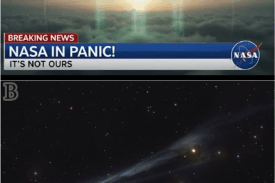 “3i Atlas: The Mysterious Object That’s Not a Comet, Not Natural, and Not Ours”