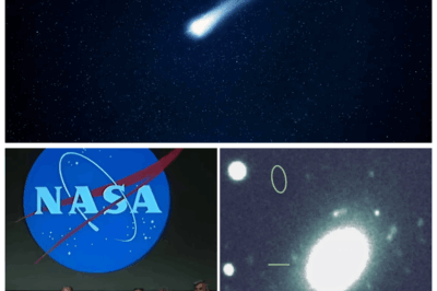 Scientists Leak NEW 3I/ATLAS Findings — And What They Discovered in Deep Space Is Far More TERRIFYING Than Anyone Expected 🌑⚡  The latest data drop has researchers shaking as 3I/ATLAS shows anomalies that defy physics, logic, and every comforting explanation humanity has clung to; insiders whisper that this object is morphing, accelerating, and behaving like something under intelligent control, leaving the scientific world in panic as they scramble to hide what might be an interstellar threat.👇