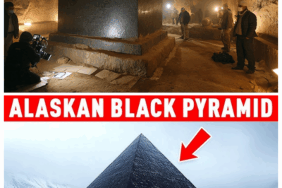 What They Found Inside The Black Pyramid Shocked Archaeologists