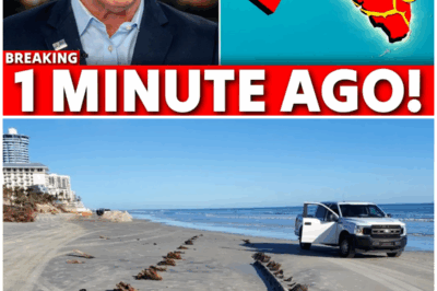 😱 Florida’s Beaches CLOSED After Shocking Underwater Discovery – What Lies Beneath? 😱 – HTT