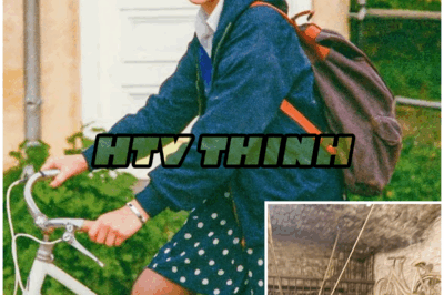 😱 Student Vanished on Ride to School in 1988, 14 Years Later a Wine Cellar Reveals… 😱 – HTT