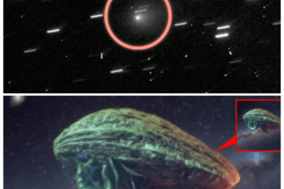 “🚨CHINA’S NEW 3I/ATLAS PHOTOS EXPOSE A SUN-FACING PLUME—AND NOW THE SOLAR STORM MAKES A SINISTER KIND OF SENSE⚡👁️” The newly released images show a massive sunward jet—something no natural comet should produce—right before the Sun unleashed one of its most violent eruptions in years. The timing is too perfect, the data too synchronized. Officials insist it’s normal… but the silence from NASA is screaming.👇