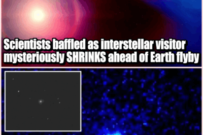 🌌🚨 “Alien Mothership or Harmless Comet? Scientists Baffled as Interstellar Visitor SHRINKS, Changes Course, and Defies the Laws of Physics on Approach to Earth!” 👇