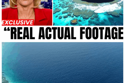 Experts Dive Into The Great Blue Hole In Submarine — What They Found Shocked the World