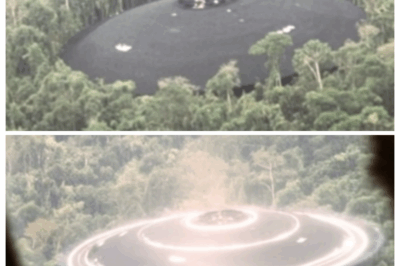 Archival Footage From 1987 Captures a Mysterious UFO Encounter Over the Amazon Rainforest 😱