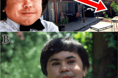 Inside Hervé Villechaize’s Final Hours: The Untold Story of Talent, Struggle, and Despair