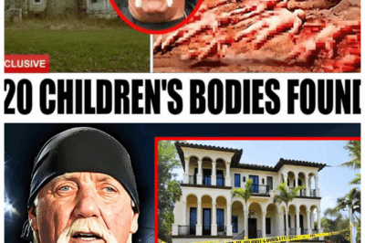 Here’s What the FBI Found in Hulk Hogan’s Mansion After His Death That Shocked Everyone!