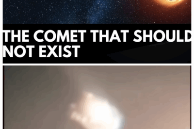 Mystery Comet 3I/ATLAS: Interstellar Visitor or Alien Technology? NASA Investigates Strange Discovery 😱🚀🛸 Scientists at NASA are investigating 3I/ATLAS, a mysterious comet from beyond our solar system, sparking debates: is it just a rare interstellar visitor… or could it be advanced alien technology? Michio Kaku breaks down the shocking possibilities. Click the link in the comments to uncover every mind-blowing detail. 🔍✨