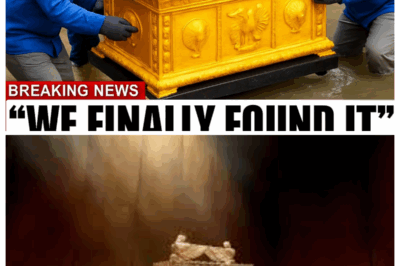 Archaeologists in shock: Found the real ark of the covenant!