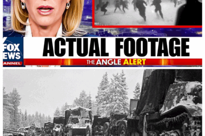 The Soviet Division That Was Massacred by Something Unknown in Finland During 1939