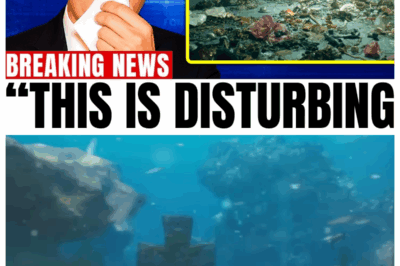 What Experts Found 8000m Below Puerto Rico Trench, Changes Everything We Know