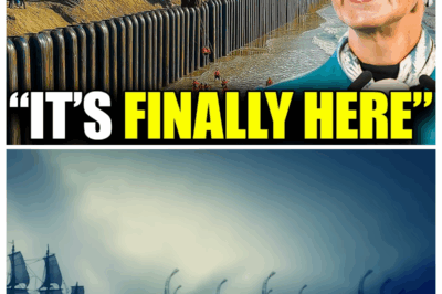 Here’s Why Mexico Is Extracting Tons of Soil From Gulf of Mexico…And the Results Are Stunning