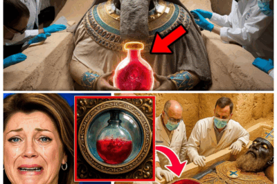 “🚨KING SOLOMON’S TOMB OPENED AFTER 5,000 YEARS—WHAT THEY FOUND INSIDE WILL CHANGE HISTORY FOREVER💥” When archaeologists finally unearthed the tomb of the legendary King Solomon, they weren’t expecting the secrets that came with it. Inside, they discovered a golden tablet covered in unknown symbols, ancient scrolls, and a chilling prophecy about the fall of kingdoms. The world isn’t just shocked—it’s terrified.👇