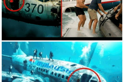 Scientists Terrifying New Discovery Of Malaysian Flight 370 Rewrites History
