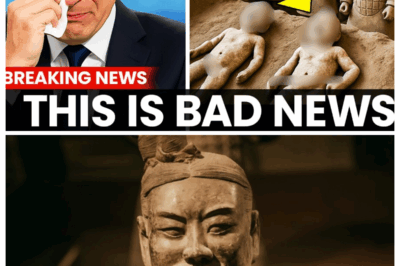 Terracotta Army Mystery Solved in 2025, And It’s Not Good  For decades, the Terracotta Army remained one of history’s greatest archaeological marvels—thousands of clay soldiers silently guarding secrets buried for over two millennia. But in 2025, a groundbreaking discovery stunned experts and challenged everything they thought they knew. What emerged from the ancient earth wasn’t just a piece of the past—it carried a chilling message, a warning that suggested the Terracotta Army’s purpose was far more ominous than anyone had imagined.