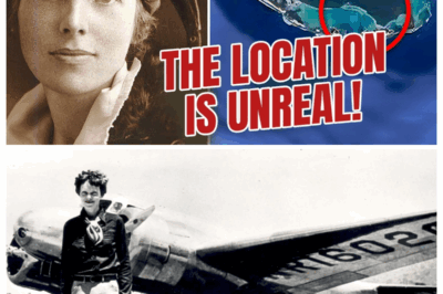 Amelia Earhart’s Plane was Just Found! The Location Will Shock You