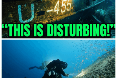 WWII Submarine Found With Crew Still Inside U-455 Mystery — Turn Pale When They Open…