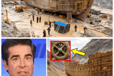 What Scientists FOUND Inside Noah’s ARK in Turkey Will TERRIFY You — The Shocking Truth Revealed! 😱 In a discovery that will leave you gasping for air, scientists have just uncovered something so shocking inside Noah’s Ark in Turkey, it will send ripples of terror across the globe! What they found hidden in the ancient wood could change everything we know about the Bible, the flood, and even our very existence. This isn’t just another artifact—this discovery has the power to rewrite history and shatter your beliefs forever. Brace yourselves for the most disturbing truth ever revealed! 👇