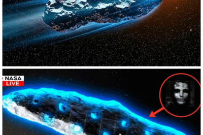 “James Webb Unveils Terrifying Discovery: 3I/ATLAS Is Carrying Life—And It’s Heading Straight for Earth! 🌍⚠️” Buckle up, folks—this isn’t some sci-fi flick; this is real! The James Webb Space Telescope has detected life on 3I/ATLAS—an interstellar comet barreling toward Earth. Could this be our first cosmic encounter with life beyond Earth, or something far more sinister? The clock is ticking as this mystery unfolds—are we ready for what’s coming our way? 👇