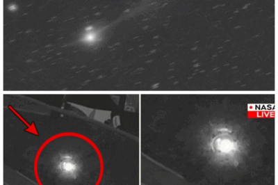 “BREAKING: James Webb Detects Alien Life Inside 3I/ATLAS—The Shocking Discovery That Will Change Everything!” 👽 In a revelation that will rock the scientific world to its core, the James Webb Telescope has just confirmed something incredible—there is LIFE inside 3I/ATLAS! This discovery challenges everything we thought we knew about space, and now the truth is out there, waiting to be uncovered. What does this mean for humanity’s understanding of the cosmos? The implications are mind-blowing, and the countdown to a new era of discovery begins NOW! 👇