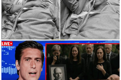 TEARS, TREASURE & TRUTH 🌪️💰—BRUCE WILLIS’ LAST-GIFT REVELATION IGNITES A MAZE OF EMOTION AS HIS FAMILY DISCOVERS A FORTUNE WRAPPED IN SECRETS, LOVE NOTES & UNFINISHED GOODBYES THEY NEVER EXPECTED 😮❤️ Sources describe the discovery as a cinematic twist only Willis could deliver, thrusting his family into a whirlwind of sentimental clues, heartfelt surprises, and soul-shaking reflections 👇