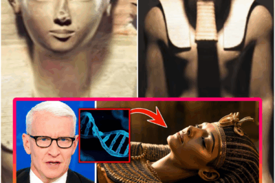 The desert wind stalled — as if the sands themselves were holding their breath — when the sealed chamber finally gave way. A faint echo rolled through the limestone walls, and one researcher whispered, “This… this isn’t murder.” For the first time in centuries, Queen Hatshepsut’s story seemed to twist in a direction no historian had dared imagine. A single symbol on the inner sarcophagus glimmered under the flashlight, and the entire team froze. Whatever truth waited inside didn’t match any legend carved into Egypt’s temples.