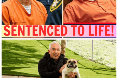 LIVE: Dog Whisperer Cesar Millan Breaks Down After Life Sentence | Then and now 2025