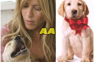 “Marley & Me” (2008) – A Heartwarming Tale of a Mischievous Dog and His Impact on a Family, Starring Jennifer Aniston and Owen Wilson