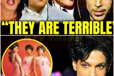 🧿 Prince’s Explosive Confession Before His Death—The 6 Bands He Hated, And Why Michael Jackson Was One of Them!  🎤💣