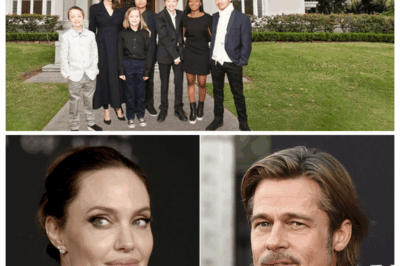 Angelina Jolie’s Kids in 2025: Life After Brad Pitt Is Shocking — New photos and reports reveal how Jolie’s children have transformed in unexpected ways, from their personal growth to surprising career paths. Click the link in the comments to see where they are now.