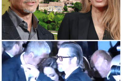 Brad Pitt Sued Angelina Jolie for $35 Million Over Winery Amid Their “War of the Rosé” — The bitter legal battle between the former Hollywood power couple has taken a shocking new turn as Pitt accuses Jolie of secretly selling her stake in their French vineyard. Click the link in the comments for the full story.
