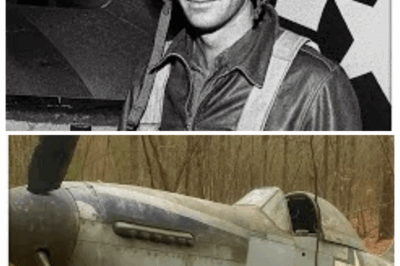 Fighter Pilot Vanished in 1943 — 60 Years Later, His Rusted Plane Was Found in a Forest…