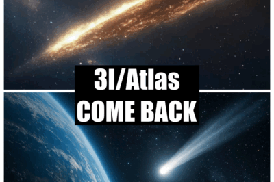 Breaking News: 3I/ATLAS Makes a Surprise Return After Passing Through the Solar System