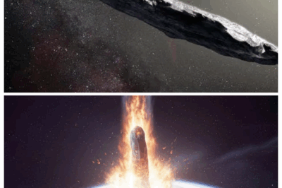 What Would Happen if 3I/ATLAS Collided with Earth