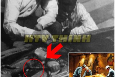 King Tut’s Tomb FINALLY Unsealed After 3,000 Years