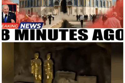 End Is Near? See What JUST HAPPENED In The Jerusalem SHOCKED Religious People?