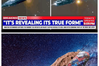 Amateur Network JUST RELEASED The Clearest Time-Lapse Of 3I/ATLAS Morphing