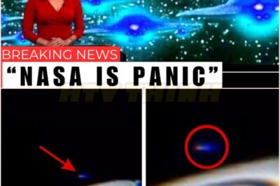 🧿Voyager 2 Sent Back Its Final Images After 47 Years in Space — A Legendary Journey Ends, Leaving Humanity in Awe and Wonder 🌌🚀📡