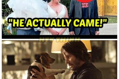 PROOF Keanu Reeves Is The Nicest Celebrity In Hollywood!