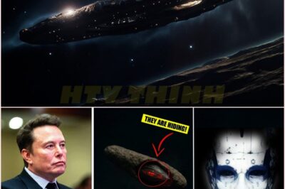 🧿“WE MUST FLEE OR DESTROY IT!” — Elon Musk’s SHOCKING Claim That 3I/ATLAS Is an ALIEN SPACECRAFT Sparks Global Panic and a Viral Emergency Video That Has the World on Edge! 🚨👽🔥