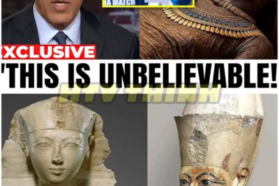 What They Found in Queen Hatshepsut’s DNA 🧬 REVEALS a Shocking Secret About Egypt’s Most Mysterious Ruler — Historians Are REELING! 🏺