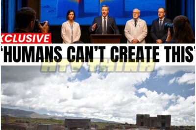 New 3D Scans 🔍 FINALLY Reveal How Puma Punku’s Mysterious H-Blocks Were Made — The Truth Is STRANGER Than Any Theory Yet! 🛸