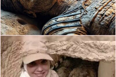 Cleopatra’s Body FOUND? The Shocking Discovery That Will Change Everything!