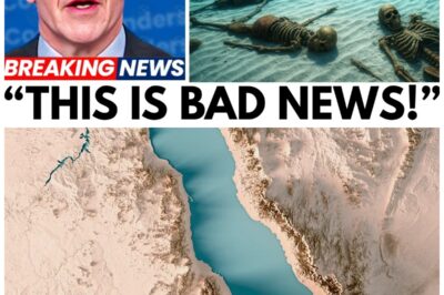 Uncovering the Pharaoh’s Lost Army Beneath the Red Sea: What Salvage Divers Found Will Leave You Speechless! Is History About to Be Rewritten Forever?